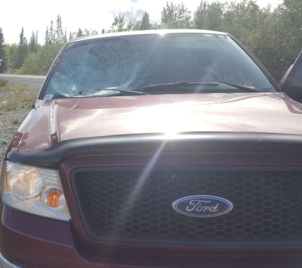The result of a moose hitting a pickup truck that didn't have a grille guard